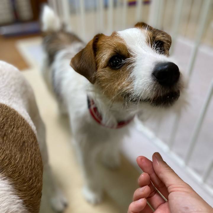 A1e83cd7 1625 4dfa 9e1d c250c9b76bd5 1656834132694