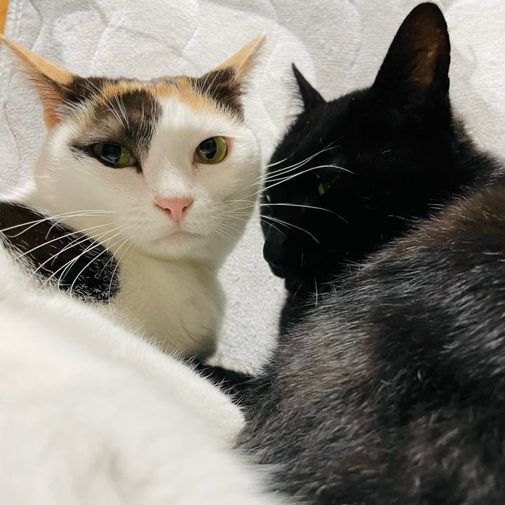 A1e84021 8e10 4afc b1e0 c5d5d7747e22 1639018677820