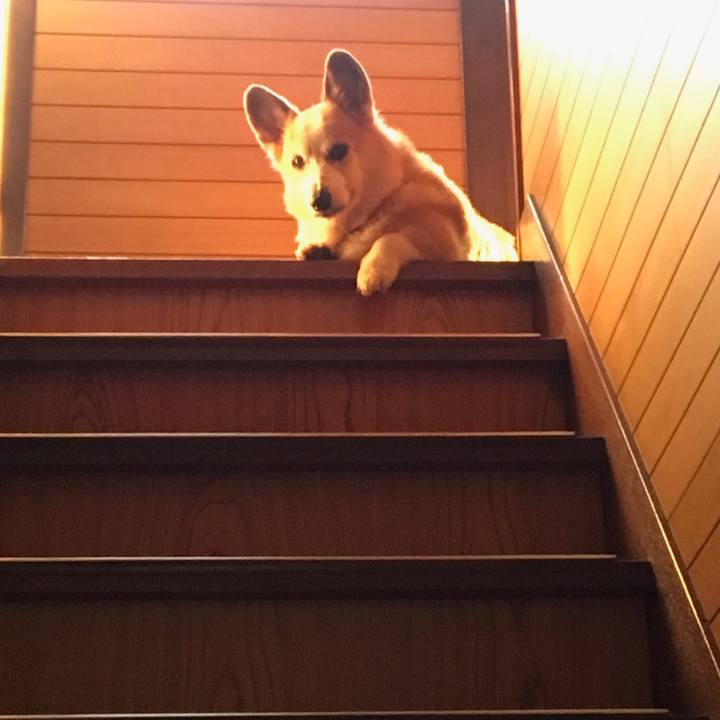 A1e8508f 6243 4467 838e 3aa63e45a776 1534730690465