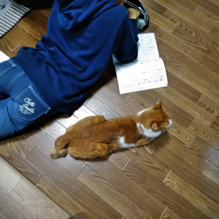 A1e85170 5997 4485 9ca3 17b6e74a9d6b 1579611523759