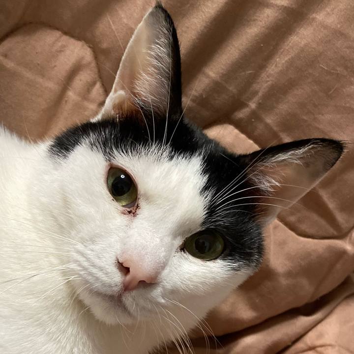 A1e86bfe e0d8 4d2a 882e 09a6741d550c 1578827474536