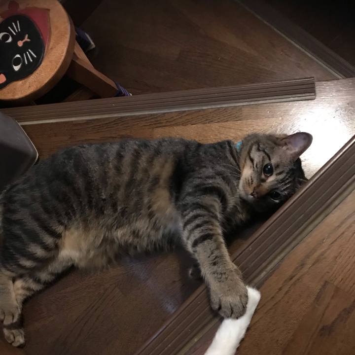 A1e87b45 b8bd 42b2 b35d 0f89f787d3c8 1563718048436