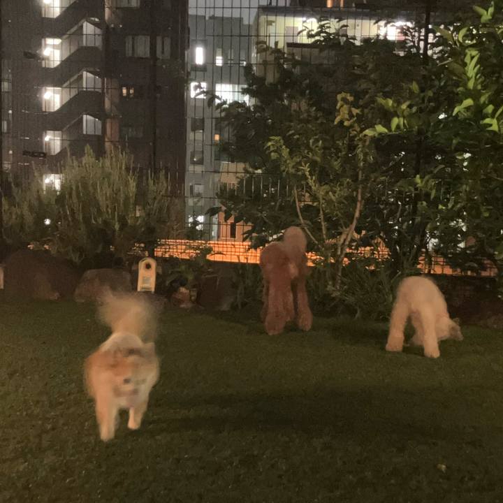 A1e8819b 2ab0 45bd 8580 aa20d7bc2c3f 1754632285436