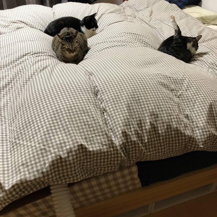 A1e8a504 1832 49c2 8ddc 3a3f3a33cedb 1545657515266