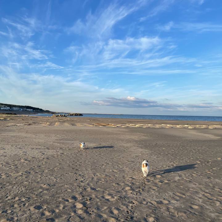 A1e8b6f3 51e1 45a6 b910 d3206e13ff18 1730329596960