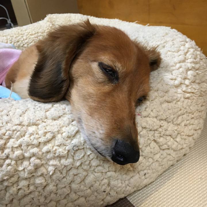 A1e8c7d5 25fb 43aa a919 44443b42f1b1 1579356413768