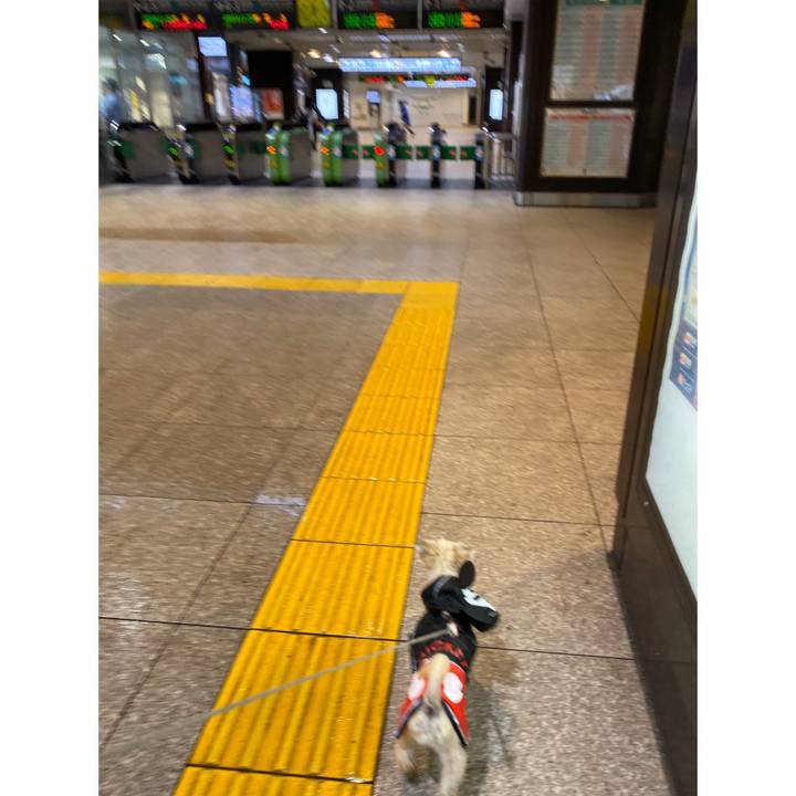 A1e8dc77 9dab 4cd2 955f 37ee10b8ddc0 1570866561835