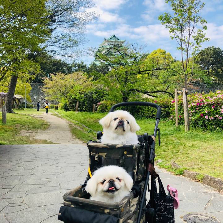 A1e8ecd3 fe42 4b8f 92f7 0f0294a63738 1618108337573