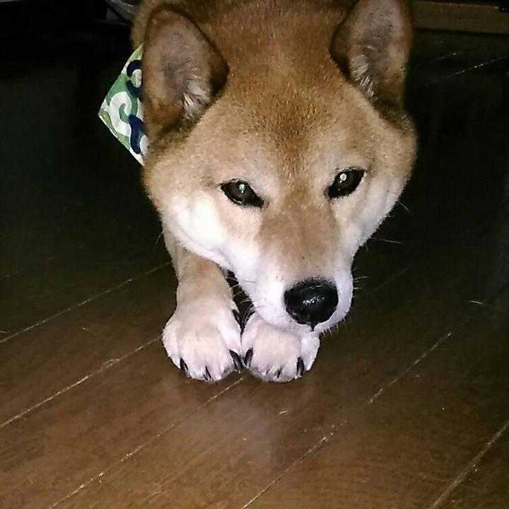 A1e90c90 bd83 4006 ae9f e5aefddfc0fb 1559801297146