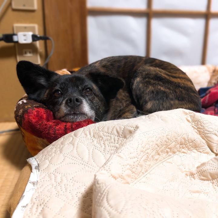 A1e9166e 148f 4840 8153 8ee8ba1e6f5a 1580903989930