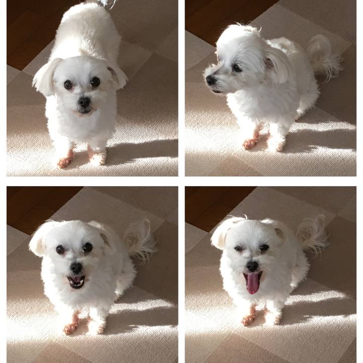 A1e9546f 68e8 4082 9750 5b2d13d998df 1580995249881