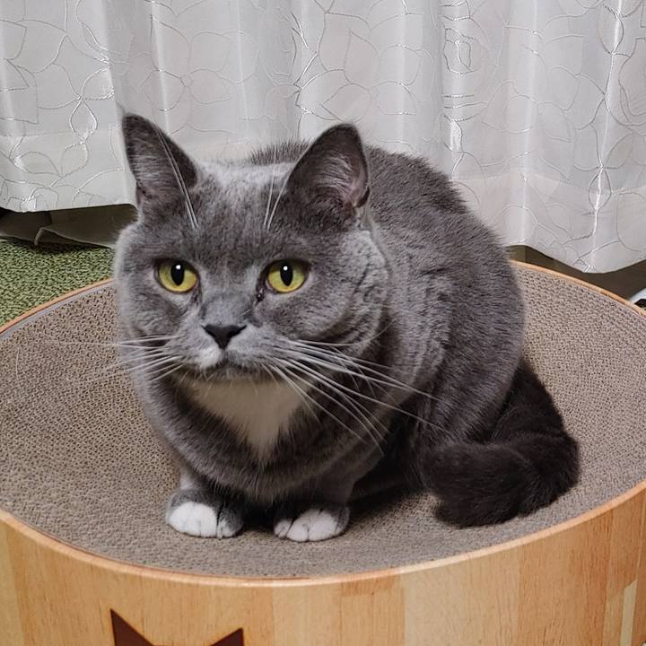 A1e98260 6ba1 4ebe 8456 8951229529a8 1630586482028