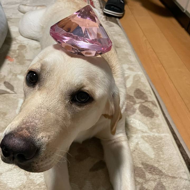 A1e987a5 1535 4ea3 aff2 34b2dd282cfc 1641460356062