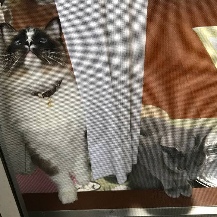 A1e9b8ae 6b0f 4197 9fe3 6e60be3442dd 1517176222379