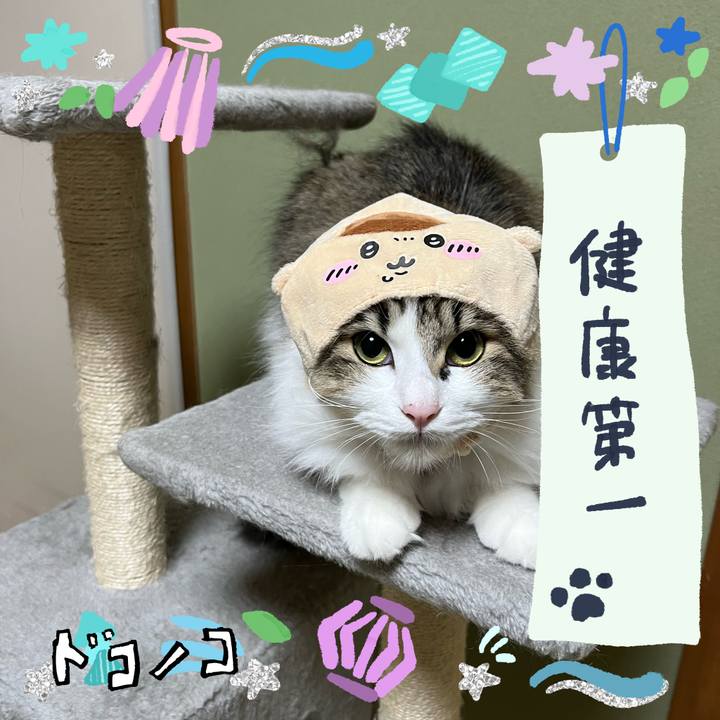 A1e9d570 dcf5 4a8d b188 669aa6a12539 1720758777801