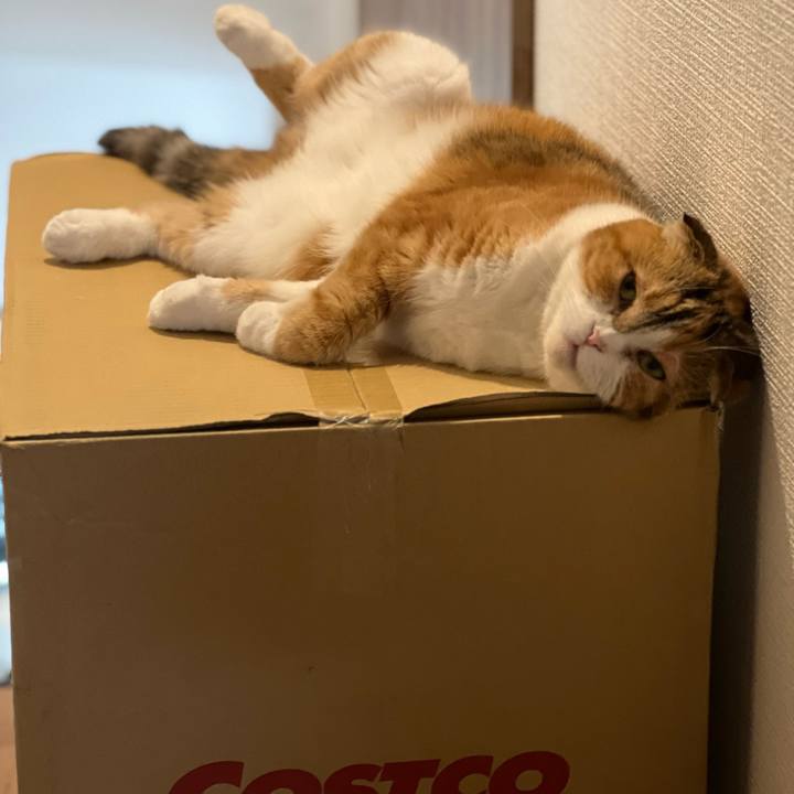 A1e9f0cf 8e5a 431e b6d9 1d189615e34c 1718029257354