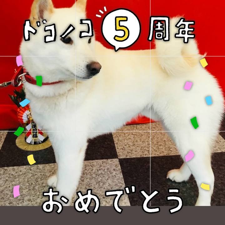 A1ea0675 e764 4932 b318 b15f5a58e1a9 1622934398857