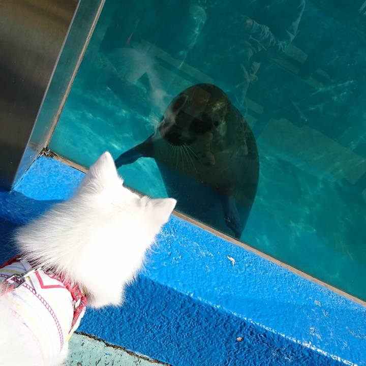 A1ea0a59 9072 4308 92a6 4ad445248b57 1541823768442