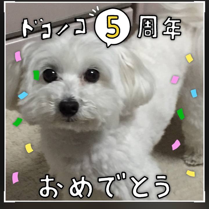 A1ea0a64 d0b8 4cea 92da 7a5360749071 1622876833705