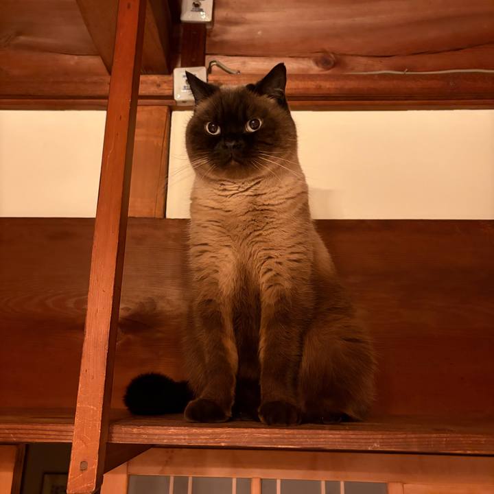 A1ea3bf0 f260 4c63 8c4a 53e2e1ff818d 1769599677746