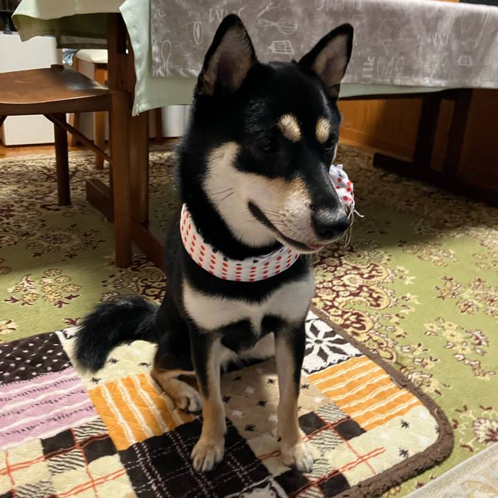 A1ea5242 92cd 4a0f a972 1dbd5ddd6777 1764108987834