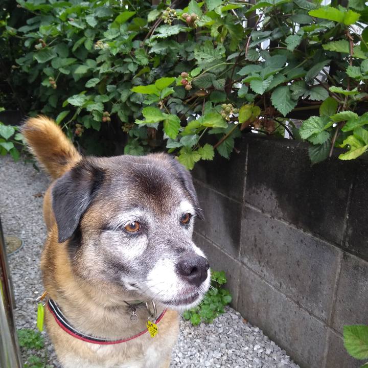 A1ea5744 43d2 4811 93d3 f82ca20f86c1 1561256973063