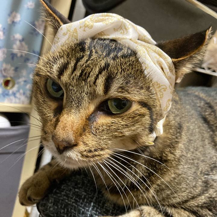 A1eaa016 30a5 4893 be8a 786e76375d55 1689940880599