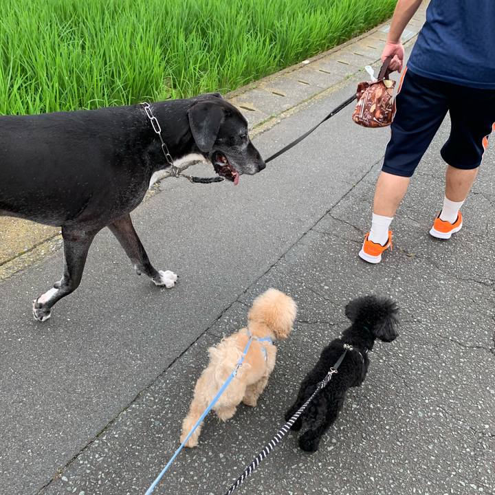 A1eac1b5 b5e3 43da bc67 48340175ce1e 1595546021815