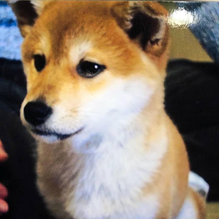 A1eaf56a 30e5 4459 8698 d9ed440fd4d2 1602298217896