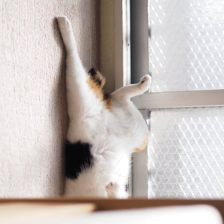 A1eb5a42 4bb4 43c6 89c3 ce0ed4698fdb 1578521599214