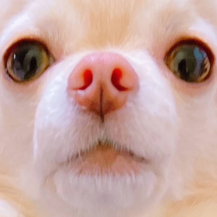 A1eb7bed af99 41d1 9649 842ab9f7b57c 1650067985925