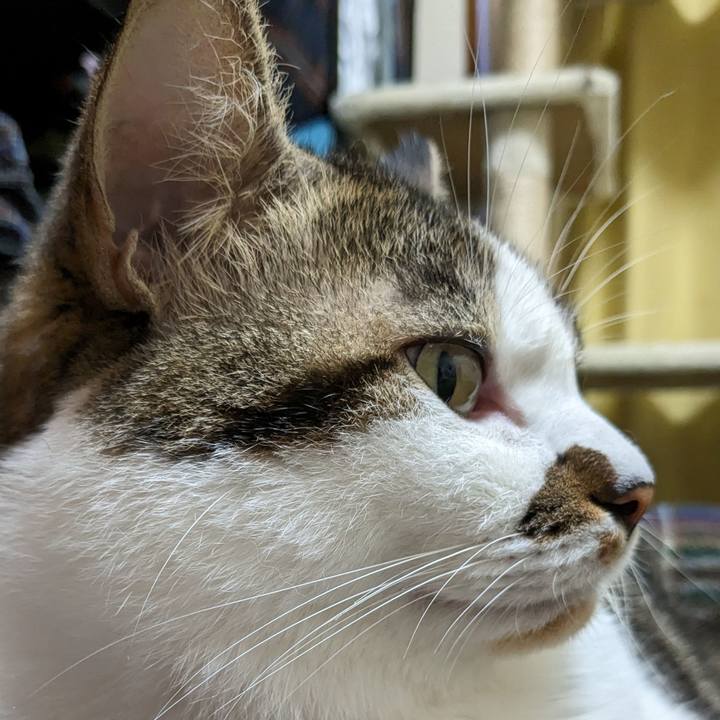 A1eb9b85 a678 4285 b5c1 473af9d5486b 1696927119272