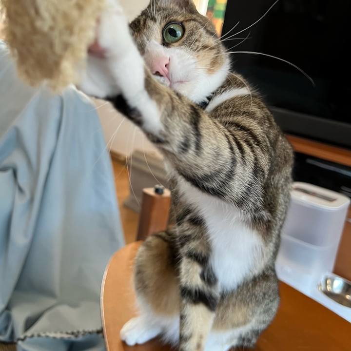 A1ebabe9 3999 4f48 9f9c 8cdbe003a824 1729414196472