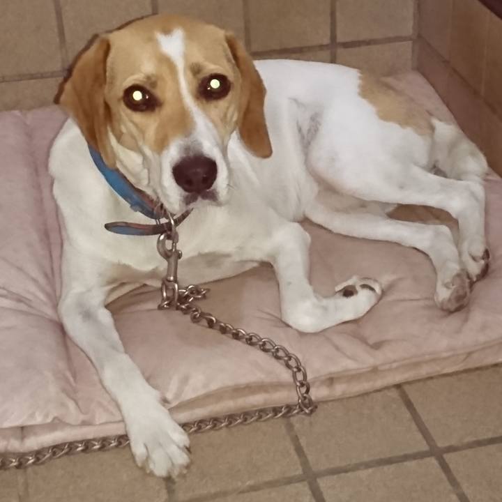 A1ebf04b d166 4c94 adea 84420cb5c3e7 1564840726643