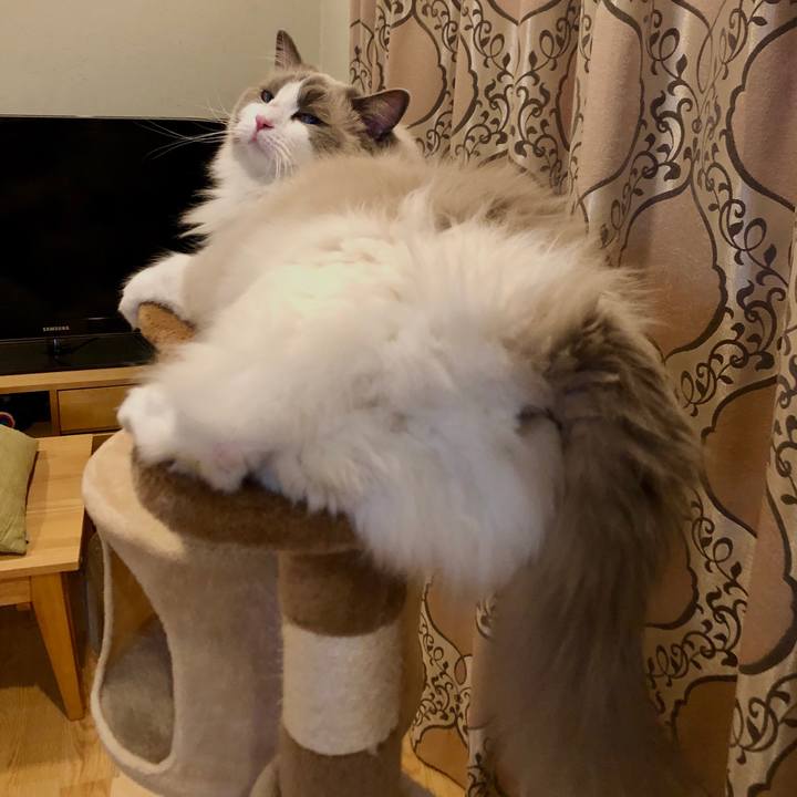 A1ec21e8 243e 47e7 be2d 4d8bf0cf3d66 1586875194299