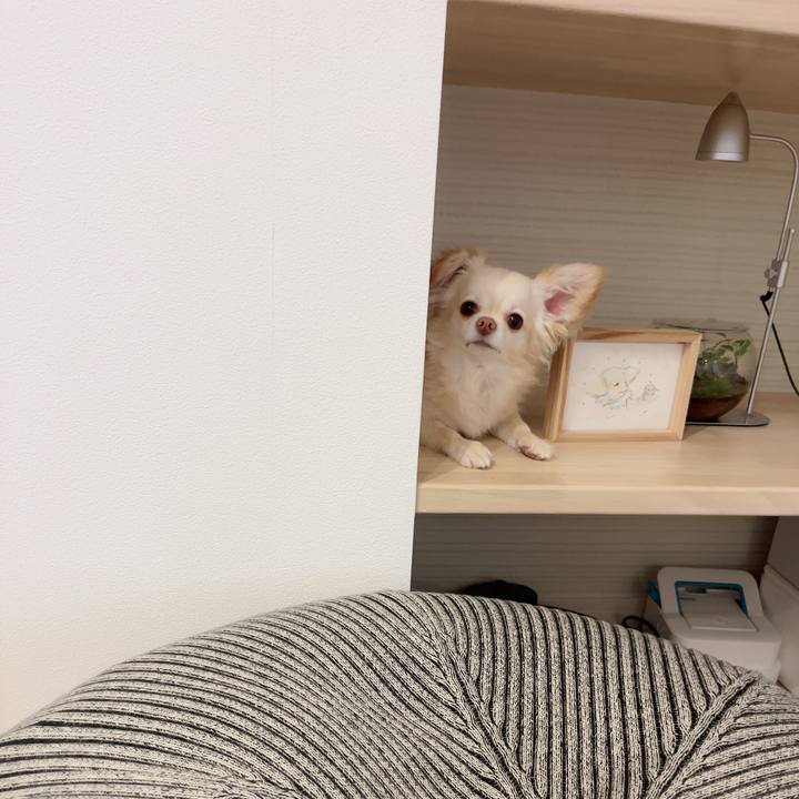 A1ec349b 33a5 4a4b 9146 a8658a1c7a54 1720359288968