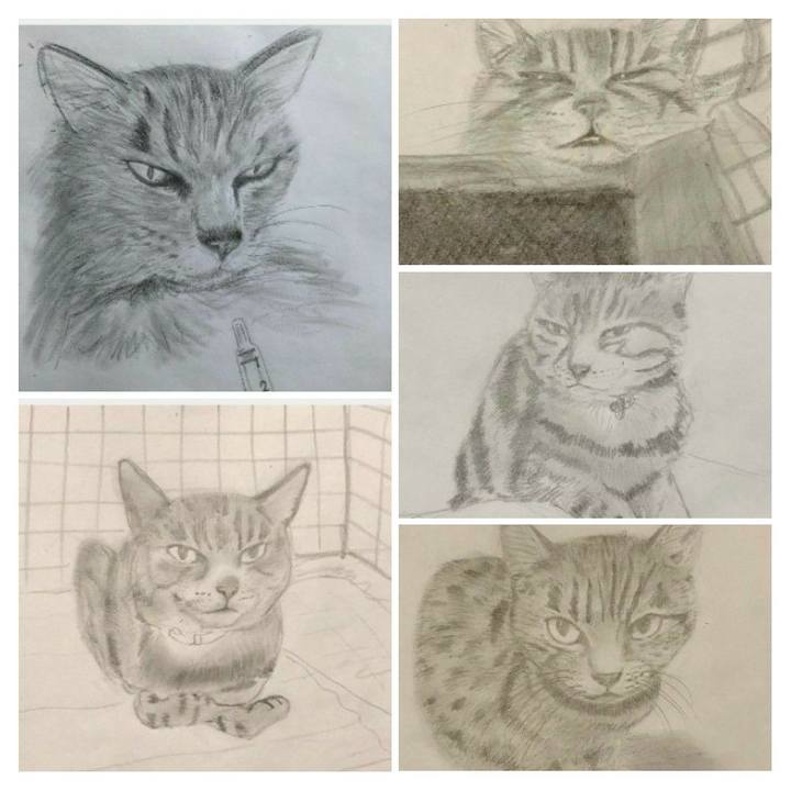 A1ec3f5f 2c4f 4928 8843 d2da0e932271 1612651310655