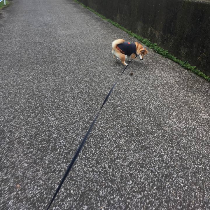 A1ec5372 d13b 47fc 867d 575d765c2970 1542682454988