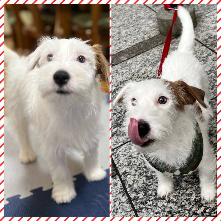 A1ec57a8 97fa 4f36 a217 66e1f5be950d 1764634067328