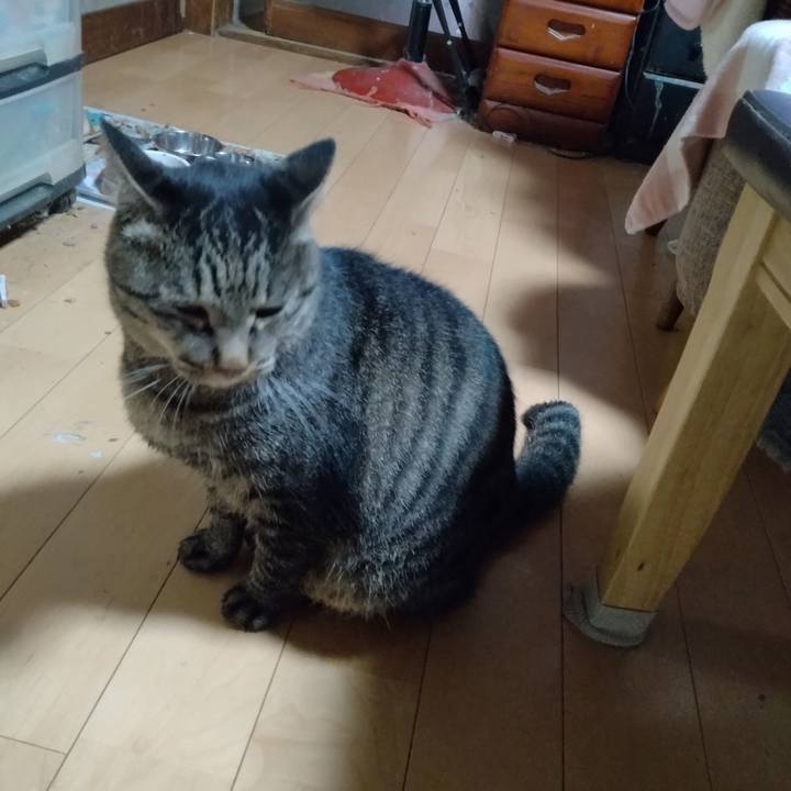 A1ec96dd 8589 4277 8786 8c8db8ed32eb 1666387435598