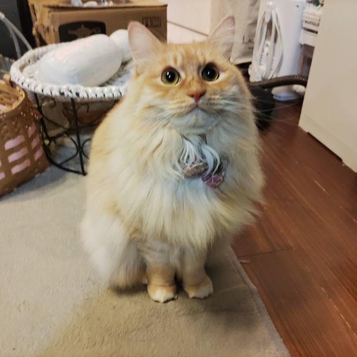 A1ecde72 693a 41e8 9881 5f0196f3d996 1676932302996