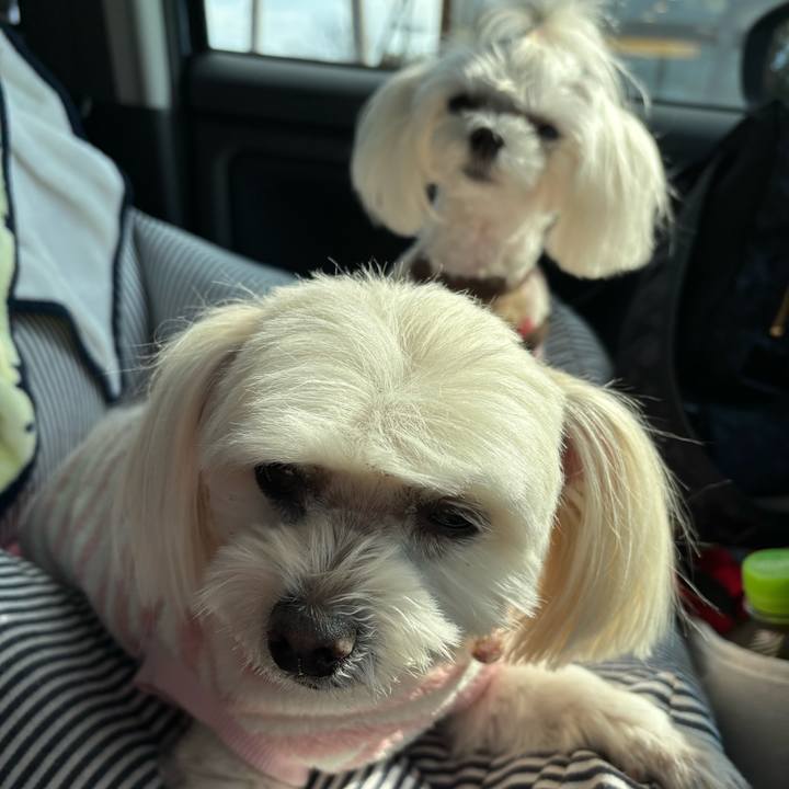 A1ed230e f5e2 4959 a3df 1fe5f2959fd4 1736856254376