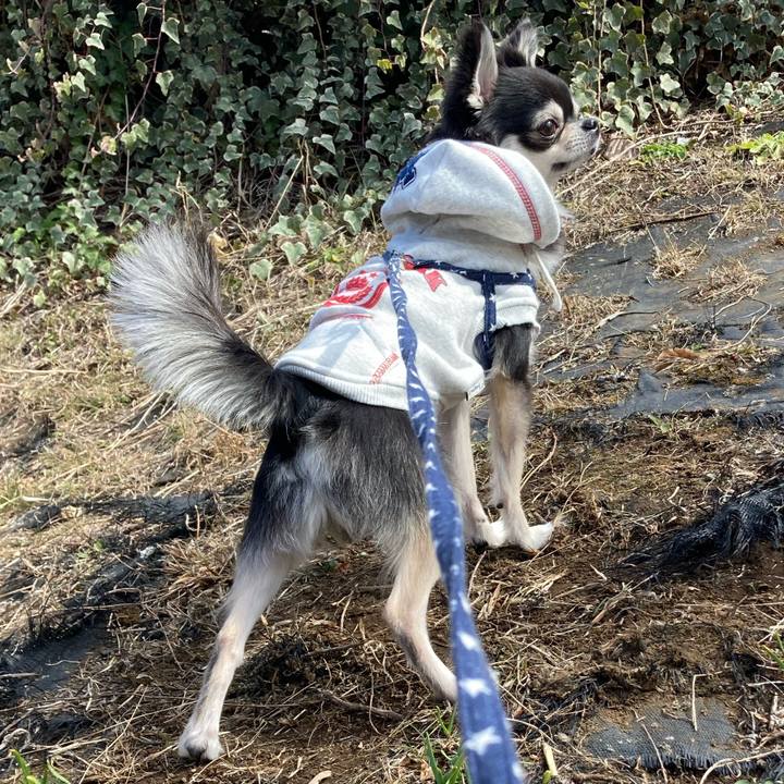 A1ed4192 cc8d 4ac3 9bcc b6612be82cfb 1646544450329