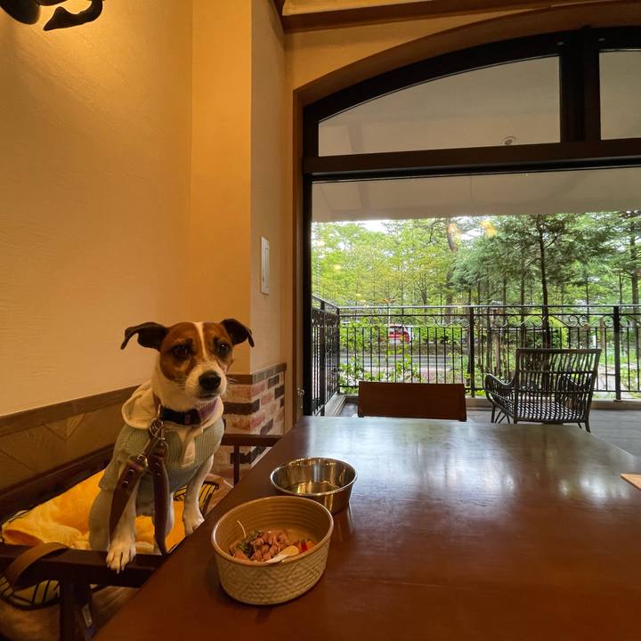 A1ed48ad e6f4 429c af35 c038231a8623 1716347299028