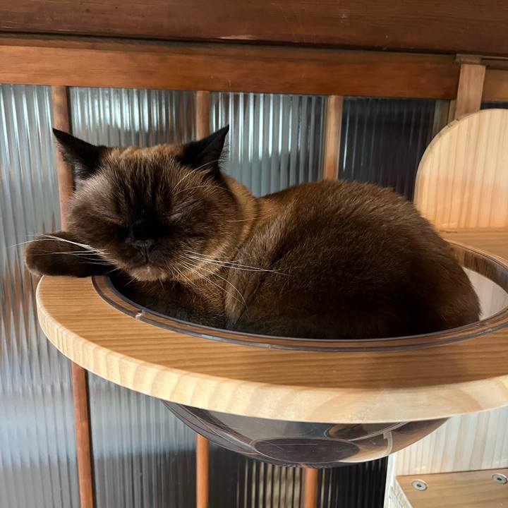 A1ed74ce e81e 40fc a7f6 a42ff3e78600 1727868705106