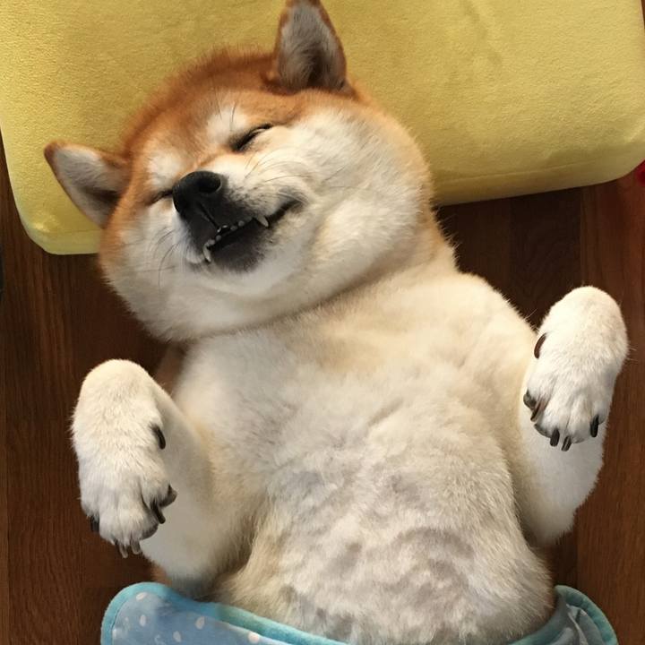 A1ed9568 bb57 4c60 b5fa d4a02aaf804b 1772798787978