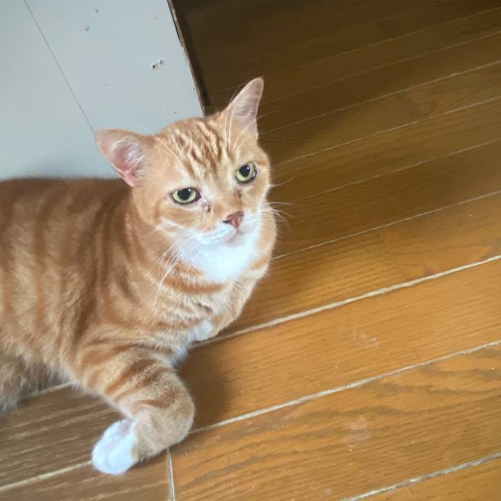 A1edb5aa 7ae9 40a3 970f 4142f8cea08a 1626381975458