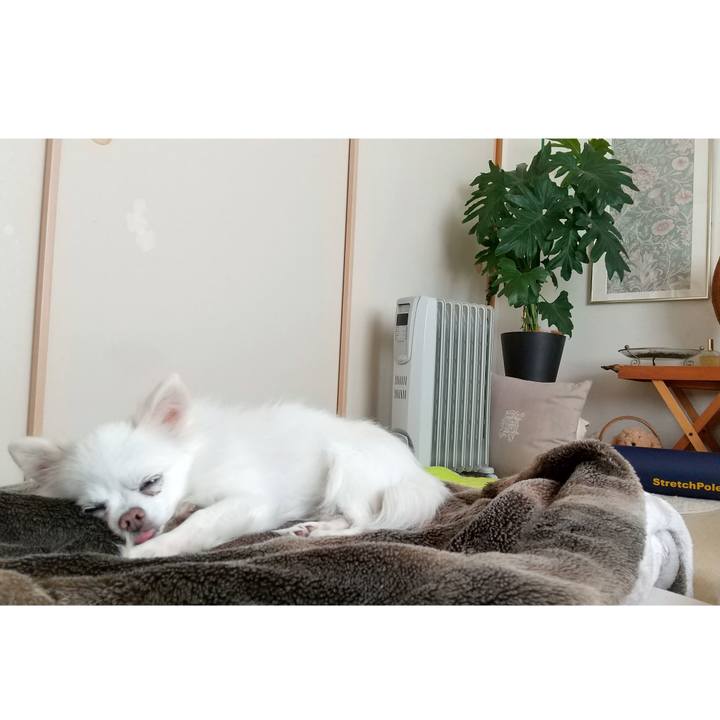 A1edbd50 d2b9 41a4 999e 96362ff55960 1679371481435