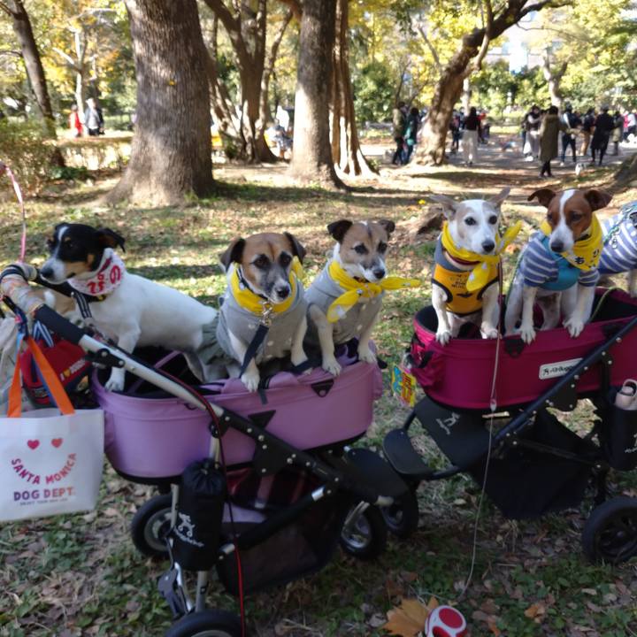 A1edbf55 d595 41fe 82ae 285609a5c76f 1606547255541