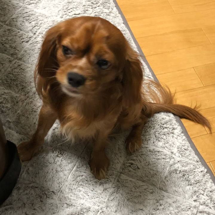 A1eddac7 7d08 475e 935b 294d25ffac1e 1539123489470